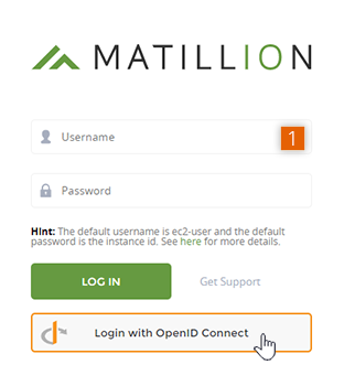 Matillion ETL login screen with OpenID